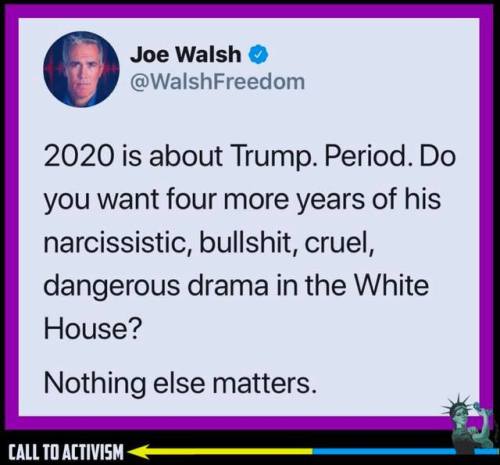 macgregor13mathers: A correction, it is not JUST about Trump. The control of the Senate by the GOP and turtle boy Moscow Mitch must be addressed. Vote straight blue for EVERY office and position on the ballet.    While I agree with all this, are we really