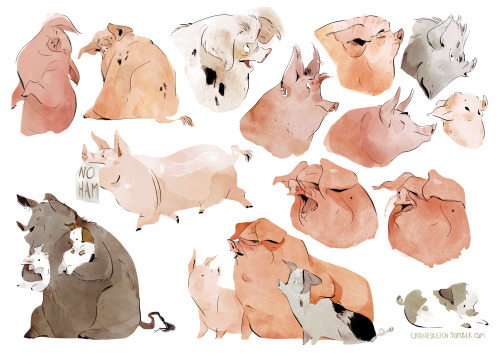 cranesketch: Big pigs, small pigs, fancy fluffy pigs 