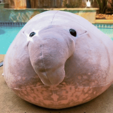 Seal Plushies