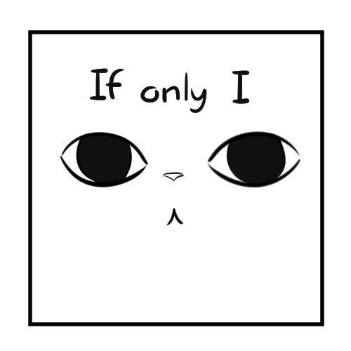 thememorycardisfull:  The Answer 