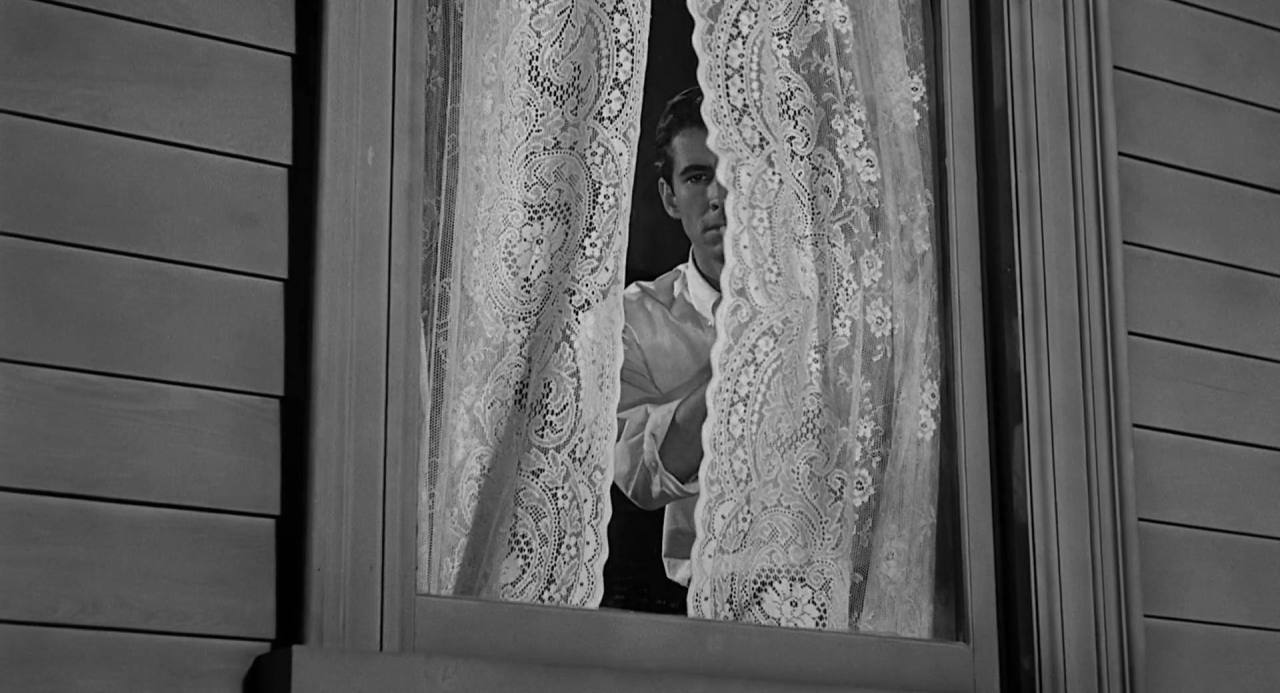 barricklovesmovies:Psycho (1960)dir. Alfred porn pictures