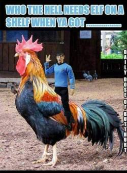 sexslavefantasy: ilovephilscock:   geekygoddessqueen:   wickedtranscendent:  Spock on a Cock…. I just spit my food from laughing so hard… @bfmcspector this is hilarious…  Bwhahahaha 😂😂😂   Omg. @sexslavefantasy @toriod   Lol 