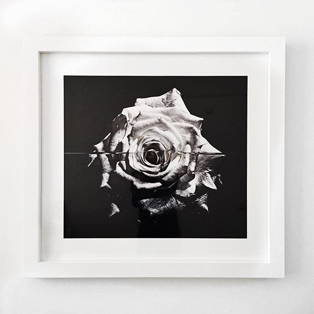 /talisa_sutton