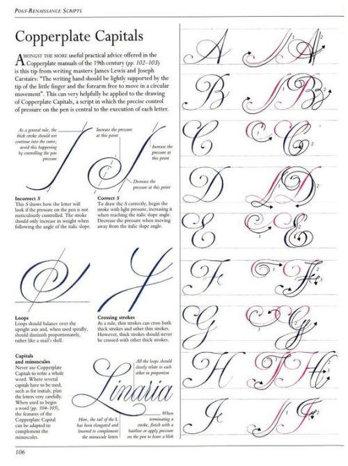 The Art Of Calligraphy