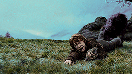 potterblr:  “If you made a better rat than a human, it’s not much to boast about,
