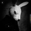 sillyfuckingrabbit