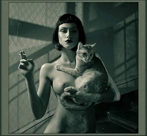 netbookk:  Peligro.(Y no es el gato…)
