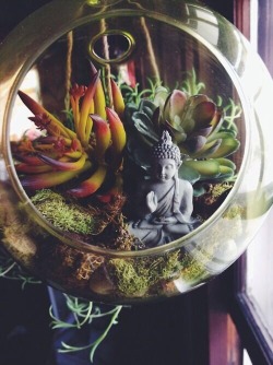 bvddhist:  namasteaaa:  ॐ  +