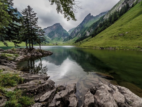 sublim-ature:  Bavaria, GermanyThorsten Henning 