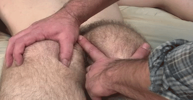 ilovebearsposts:  http://ilovebearsposts.tumblr.com/archive