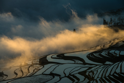 Juxtaposition by Ciming Mei ~ rice terraces in Yuanyang in China’s Yunan Provice