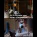 soberscientistlife:This is funny as fuck-flightless bird, motherfucker