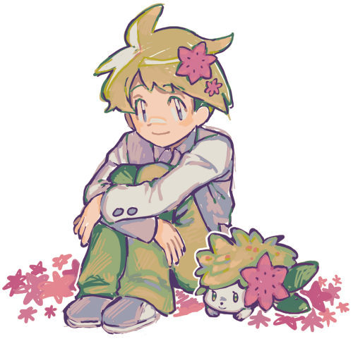 Wally And Shaymin