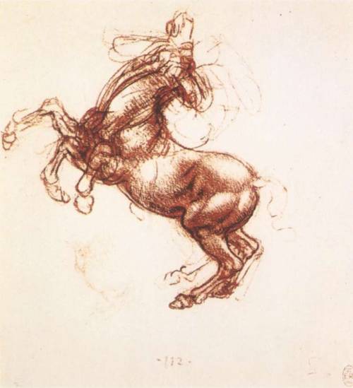 Rearing horse, 1503, Leonardo Da VinciMedium: chalk,paper