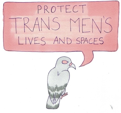 genderqueerpositivity: incendavery: flock together; love each other (part 7) (more protest pigeons)(