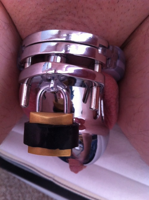 chastitylad:  Showered, Shaved, and re locked… Chastity game time must be coming to an end soon!!! I can’t wait to have a wank… I think there’s currently about a week left provided nobody else adds any time :) 