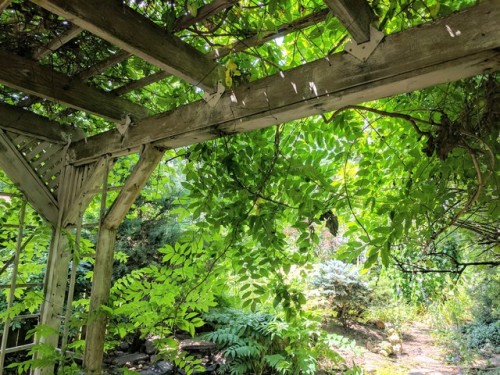 dee-lirium: secret garden