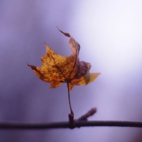 8 , , , , . . ? . , , . , , , . , , . . , , , , , . , - , . : . . # (at Park Pobedy) Https://www.instagram.com/p/CHPr9kbJ5wP/?igshid=tohf2tsu9e2u