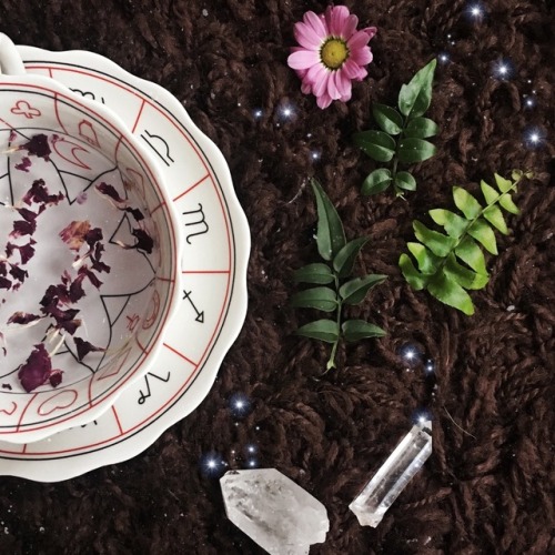 georgiaroisin: Hands up if you’re ready for spring Instagram.com/georgiaroisin