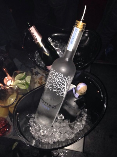 #belvedere #patron