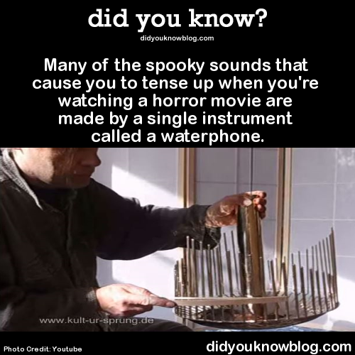 firstclassaristocrat: did-you-kno: Source