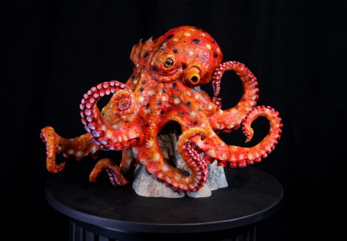 My newest OOAK sculpture. I usually only sculpt fantasy monsters but octopusses fit in that category