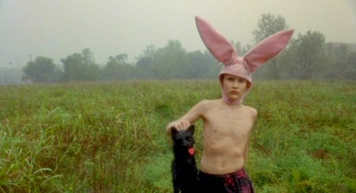 Gummo