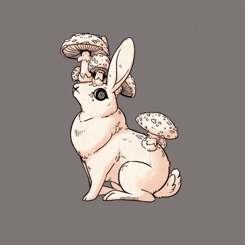 mattibee-portfolio:Mayshroom Jackalopes 1-3