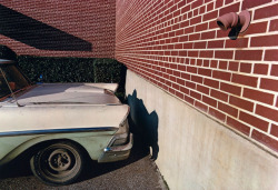 1030-42929:  Untitled, 1974William Eggleston