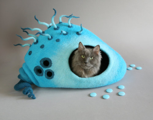 kickair8p: sentimental-apathy: just-l-o-v-e-l-y-darling: sosuperawesome: Felt Cat Caves by FeltField