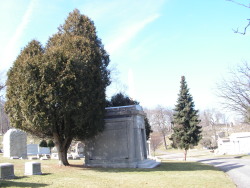 g63heavenonearth:  Allegheny Cemetery 22216-16