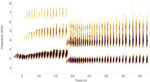 Bioacoustic monitoring is a rapidly emerging tool in wildlife conservation, aided by recent advances in technology and analytical approaches . However traditionally, the approach is commonly used to detect cryptic species and, more recently, to...