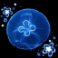 moonjelly69