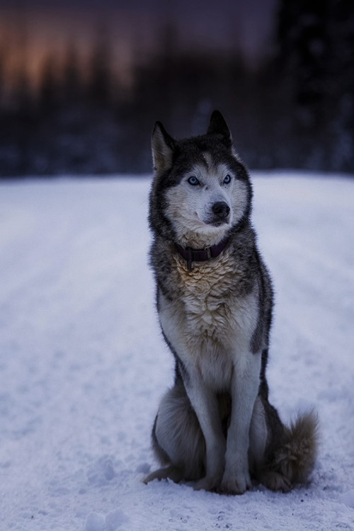 viciousclass:  The Stare | Ph © | cXs