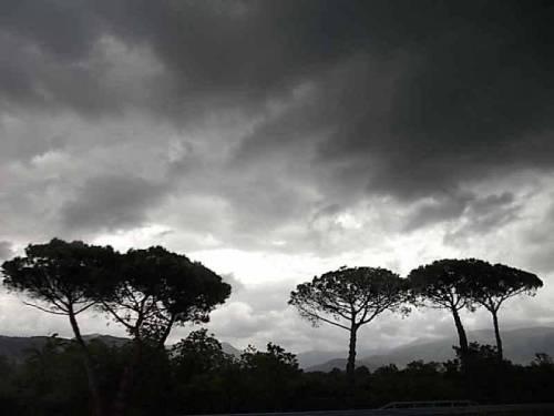 Landscapes, clouds &amp; pines in Italy, Naples area. Feat.: Vezuvius volcano in clouds (fot. 2).