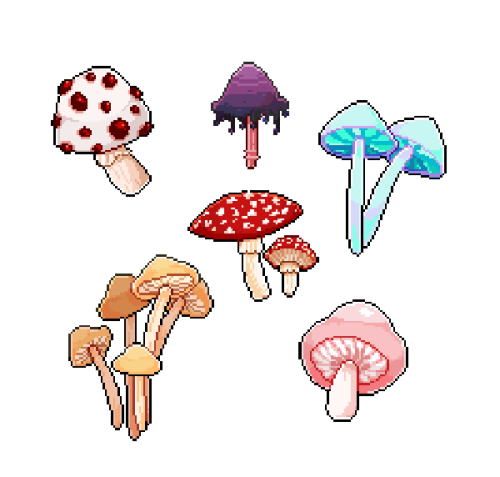 sharkees:some mushies