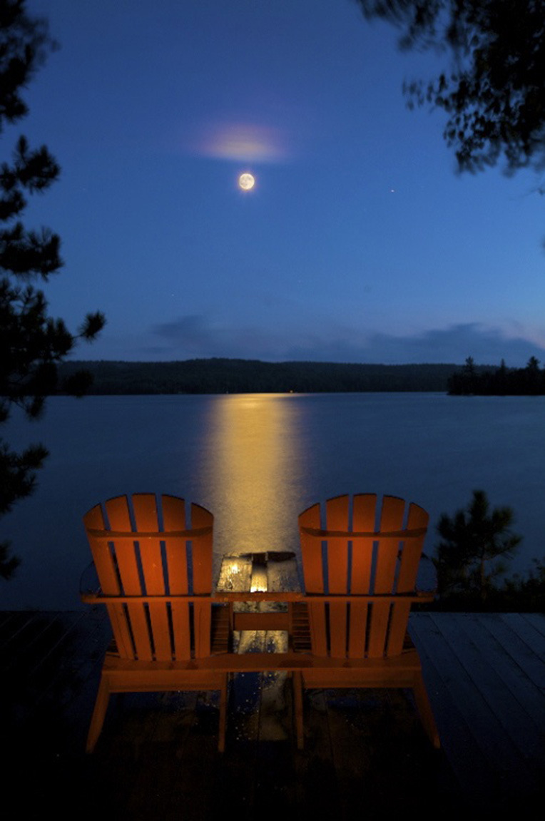 housewifesecrets:  Those chairs.