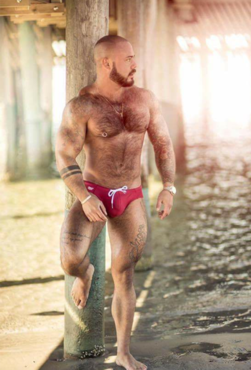 thebearunderground: The Bear Underground - best in masculine hairy menWith over 56,000+ pics and vid