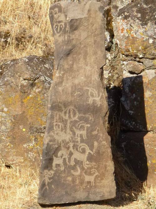 earthstory: Relocated Petroglyphs and PictographsHumans have lived along the Columbia River in the U