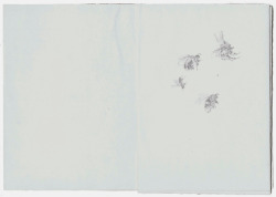 drawingstorage:  Vroni Schwegler, Two  sketchbooks,
