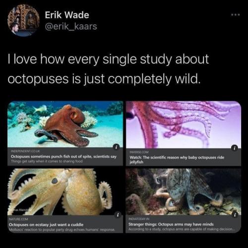 You could replace “octopus” with “5-year-old child” for each of these and I&