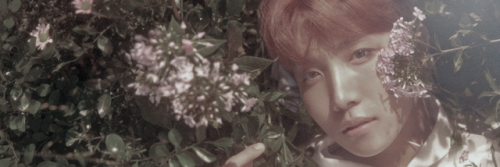 cyphrdits:  承 ‘her’ concept photo O version  precious ot7 headers ♡ like or reblog if save/use them 