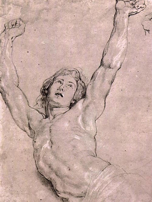 ivorytowershigh:  Peter Paul Rubens a study of Christ