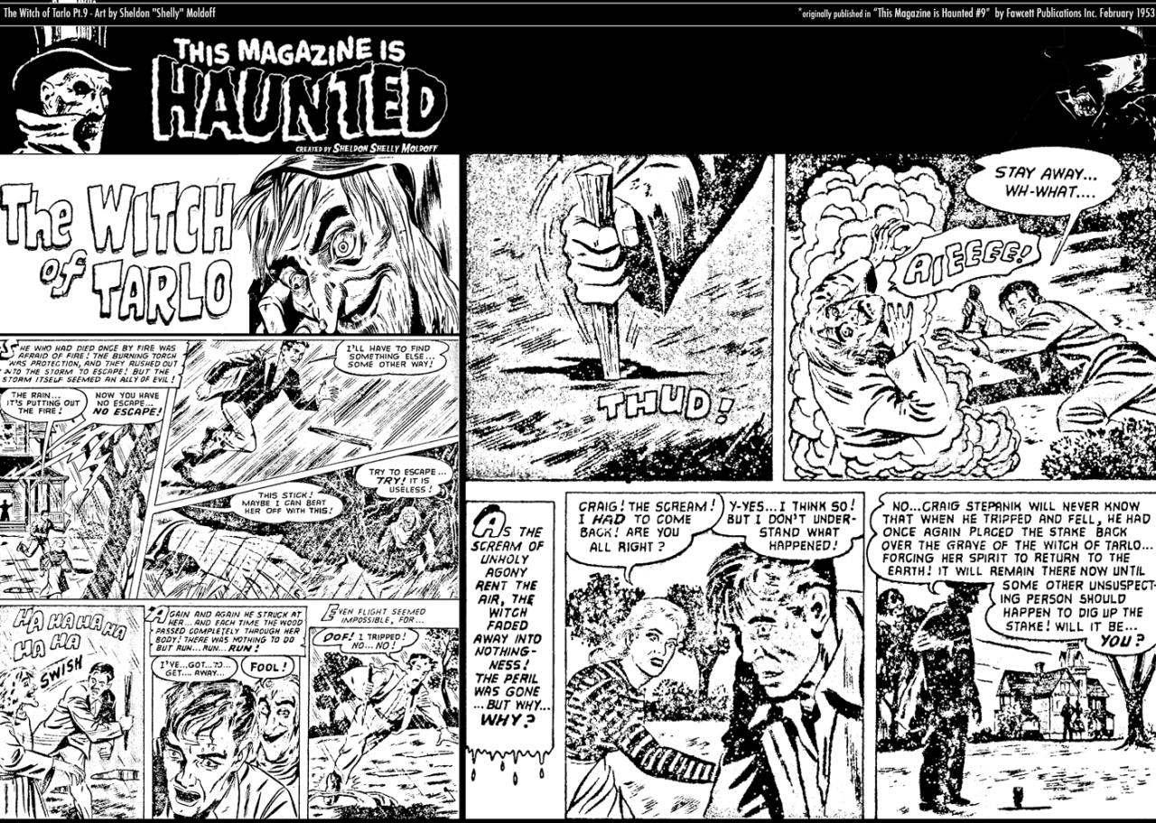 The Witch of Tarlo Pt.9 FINALE!Story by Unknown
Art by Sheldon “Shelly” Moldoff
*originally published in “This Magazine is Haunted #9″ by Fawcett Publications, Inc. February 1953
[reprinted black and white webcomic strip design and restoration by...