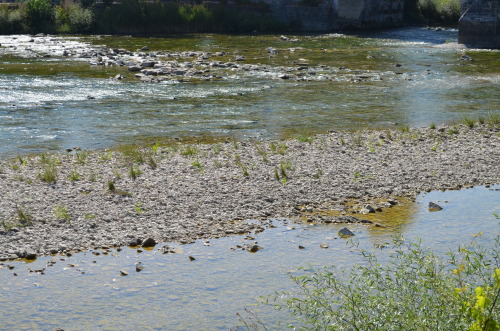 greek-museums:The bridge of Arta:The bridge of Arta, right over the river Arachthos has a long histo