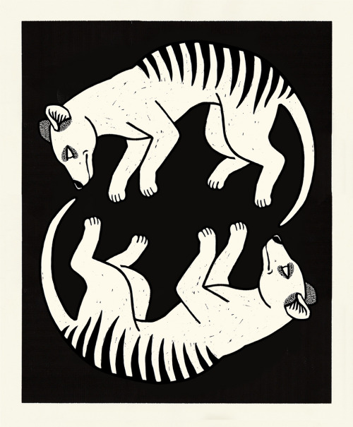 Edited versions of my old thylacine woodcuts :)I got a few messages about the availability of prints