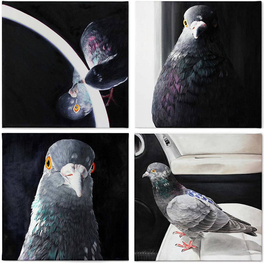 fat-birds:  npr:  culturenlifestyle:  Adele Renault Paints Incredibly Realistic Pigeon