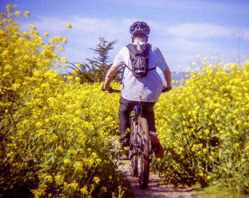 Lofi photography, Half Moon Bay.