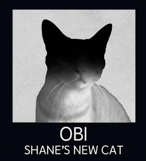 ghoulboyboos:  If you thought Buzzfeed Unsolved was great for giving the cat of the victim of the collar bomb case a slide, look at this:The Orange Boi got his own slide. I’m so proud.