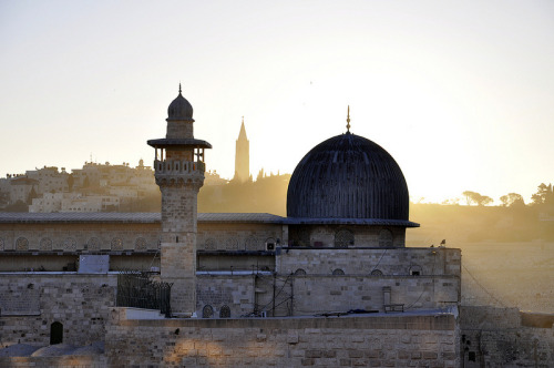 the-beauty-of-asia: Dawn over the Al-Aqsa Mosque, Jerusalem, Israel. (By Foucault in Exile on F